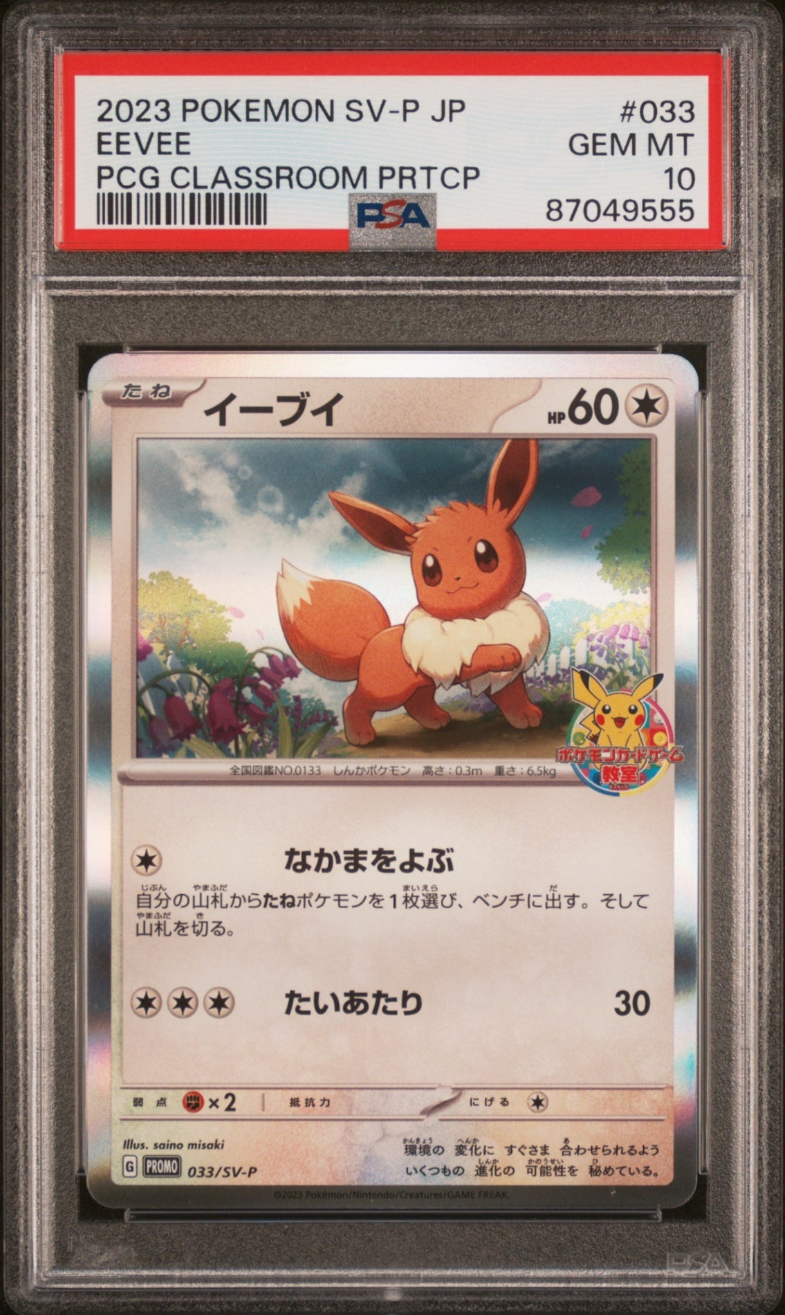 PSA10【POKEMON 033/SV-P】EEVEE PCG CLASSROOM PRTCP【PROMO】