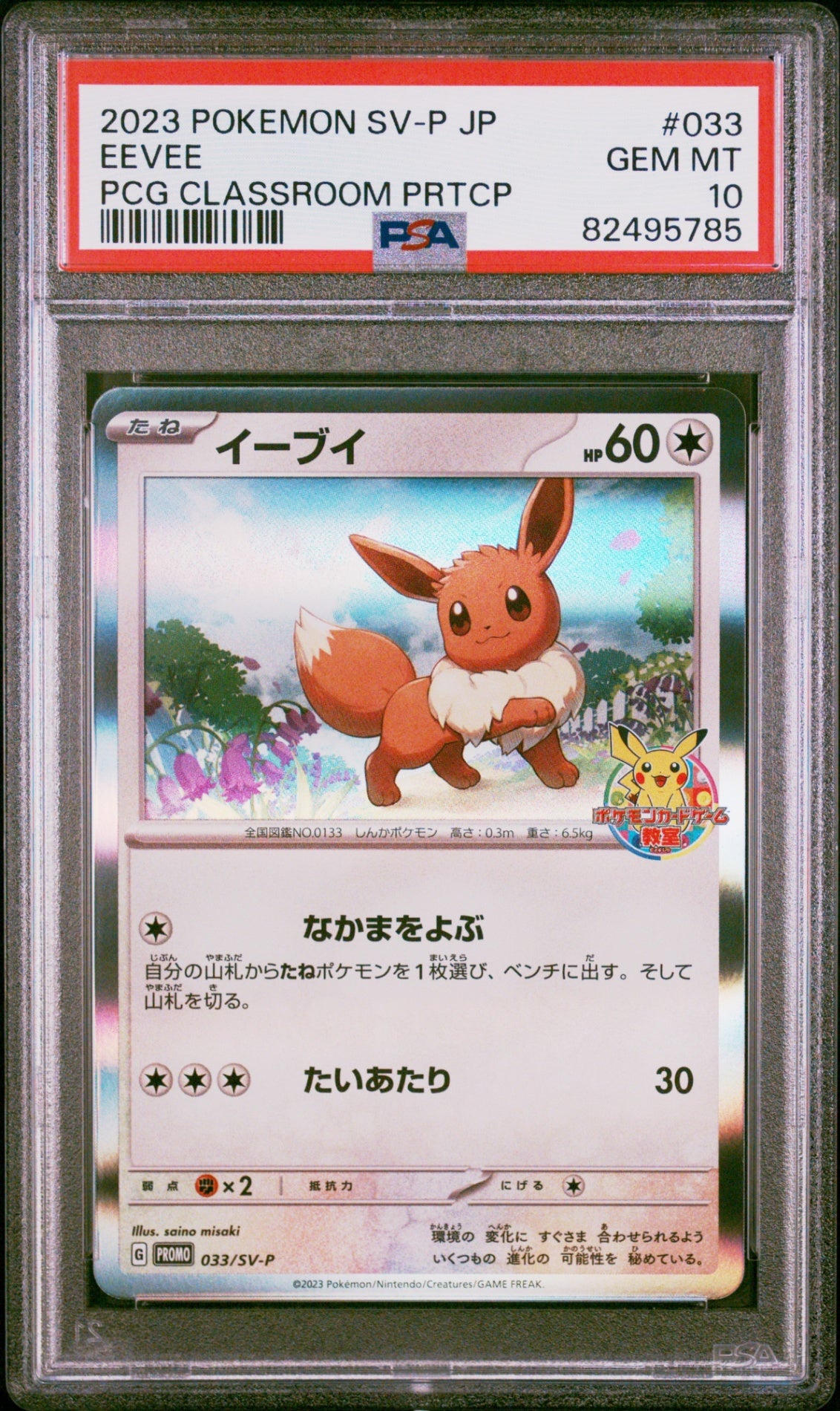 PSA10【POKEMON 033/SV-P】EEVEE PCG CLASSROOM PRTCP【PROMO】