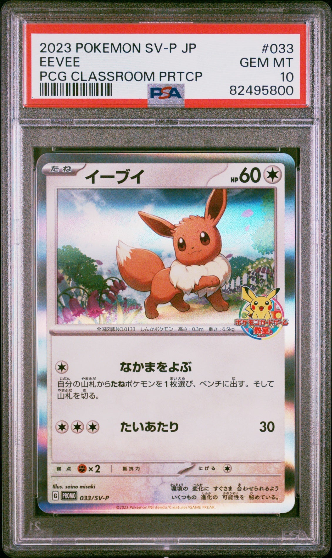 PSA10【POKEMON 033/SV-P】EEVEE PCG CLASSROOM PRTCP【PROMO】