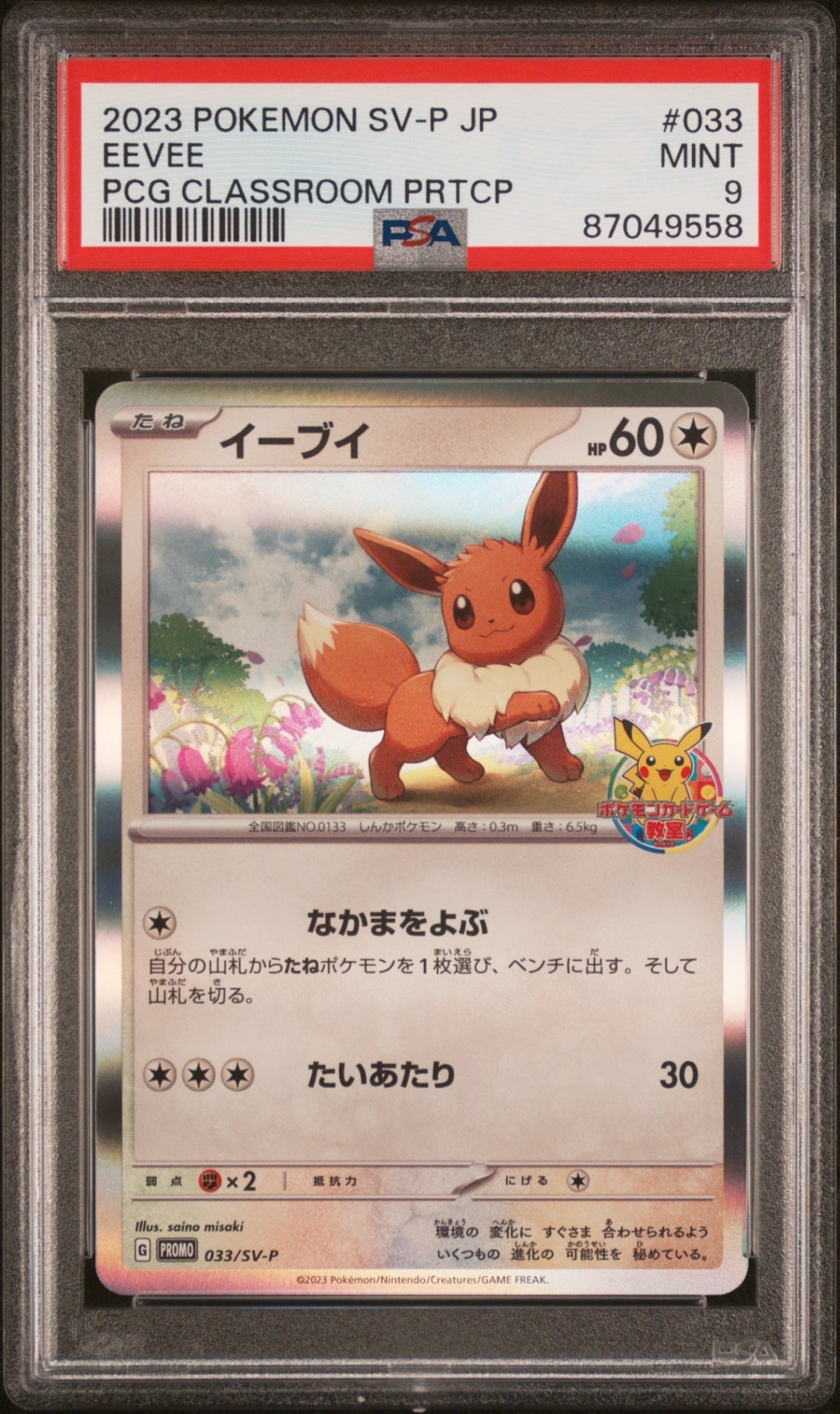 PSA9【POKEMON SV-P】EEVEE PCG CLASSROOM PRTCP【PROMO】